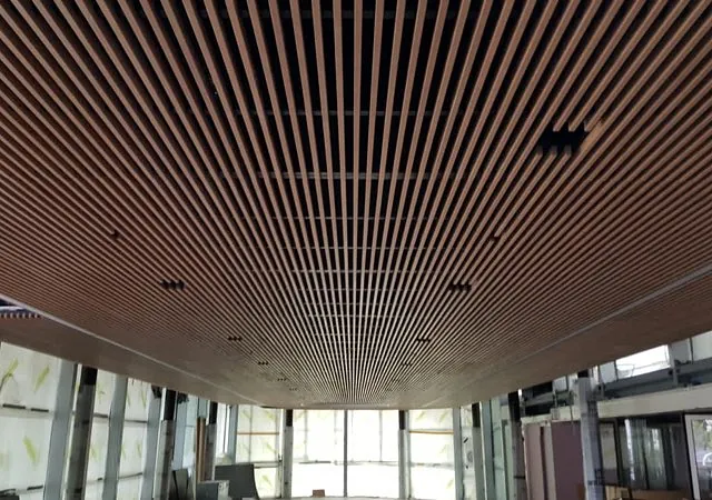 Spilehimling i tre i kontorlokale.